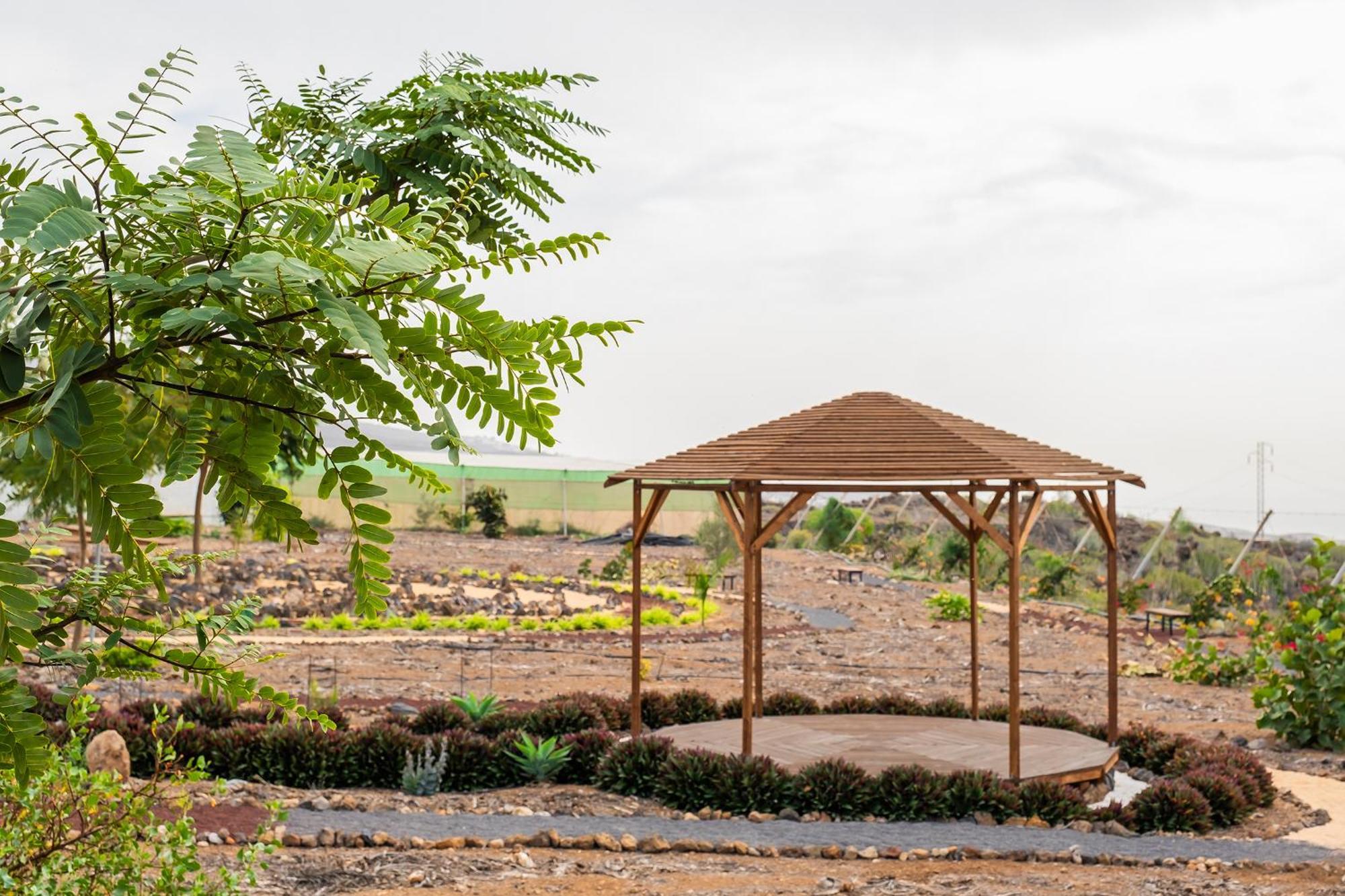 Tenerife Healing Garden Guía de Isora Buitenkant foto