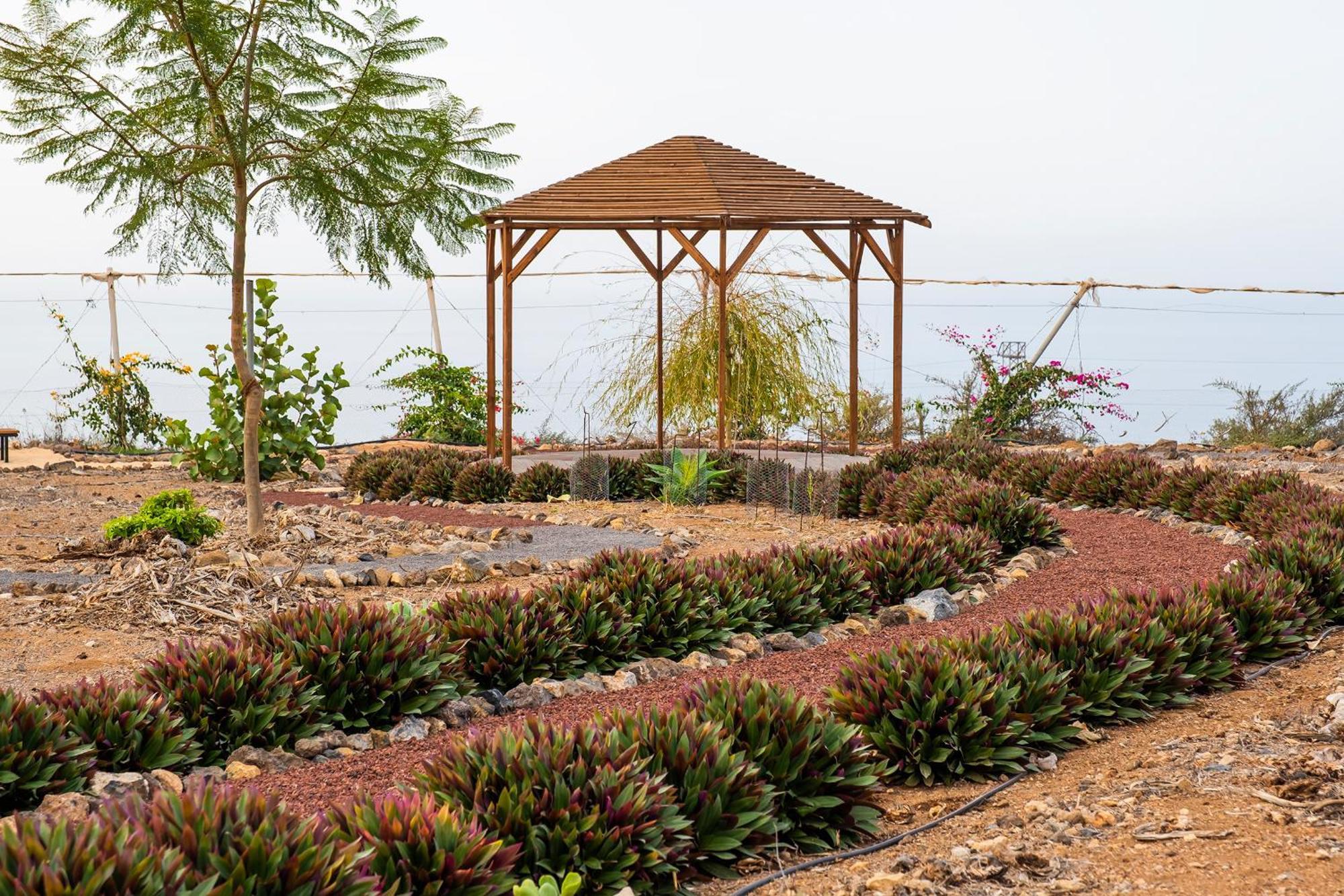 Tenerife Healing Garden Guía de Isora Buitenkant foto