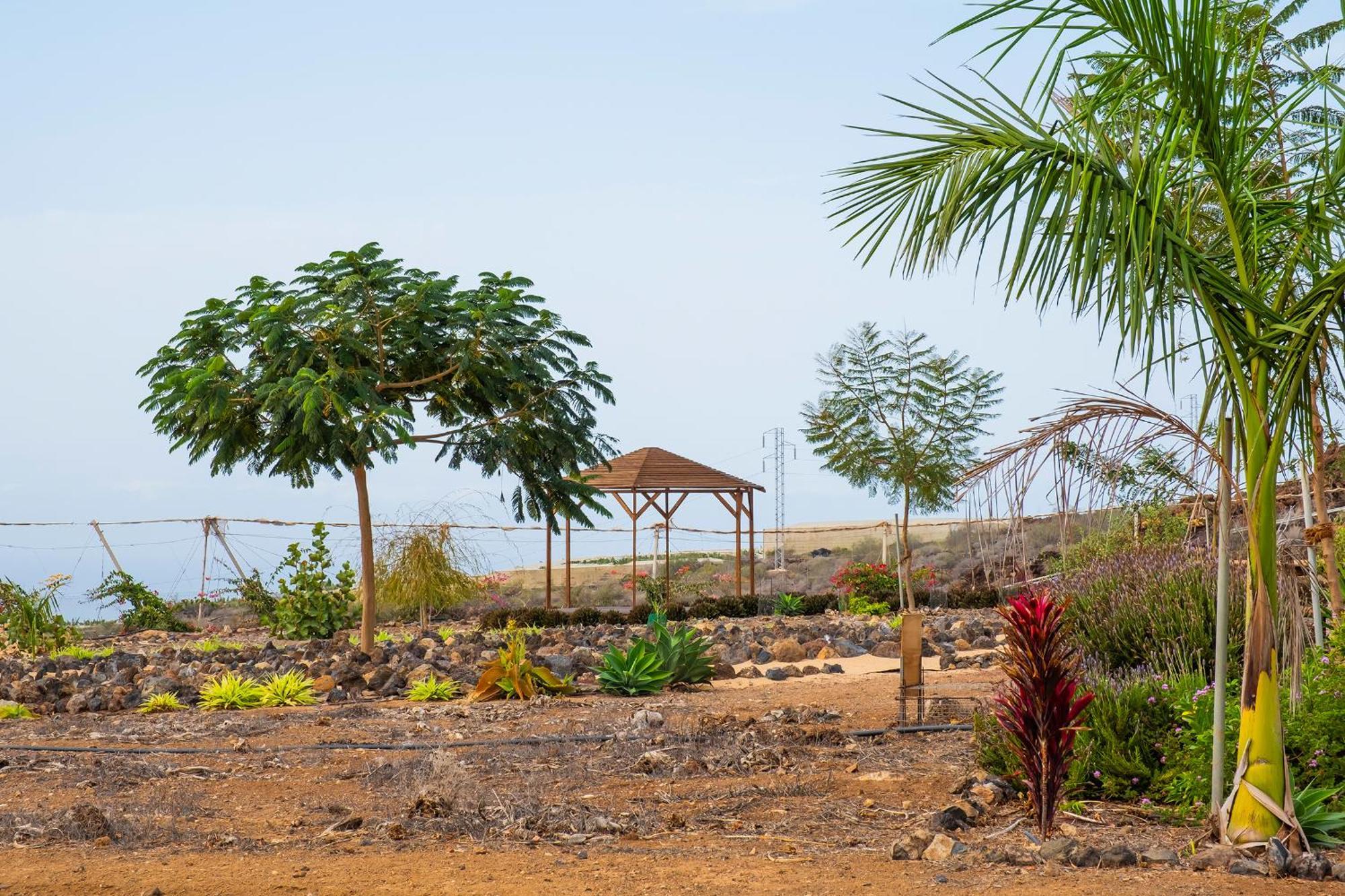 Tenerife Healing Garden Guía de Isora Buitenkant foto