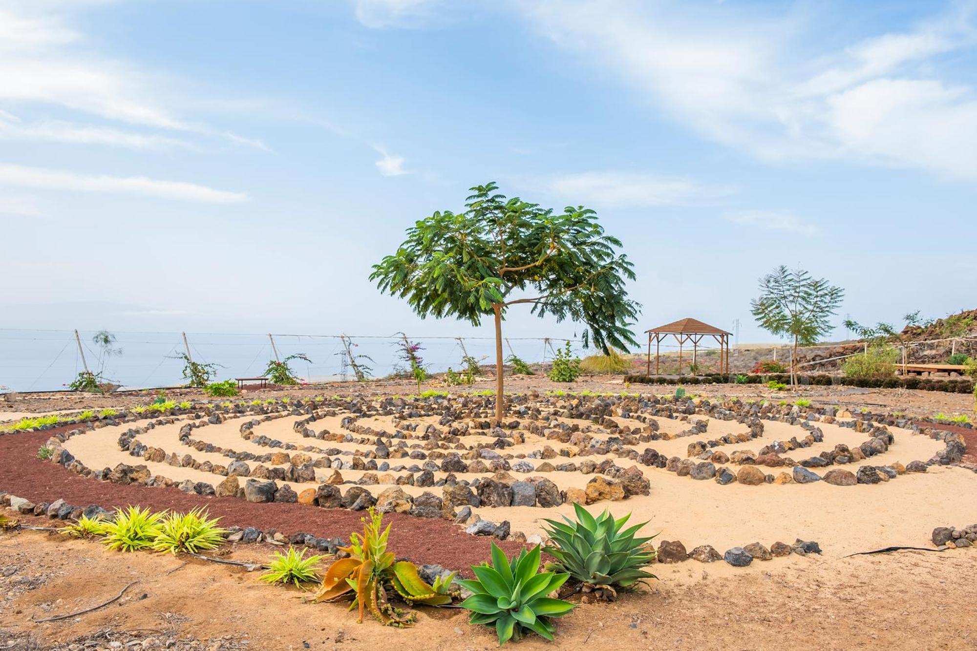 Tenerife Healing Garden Guía de Isora Buitenkant foto