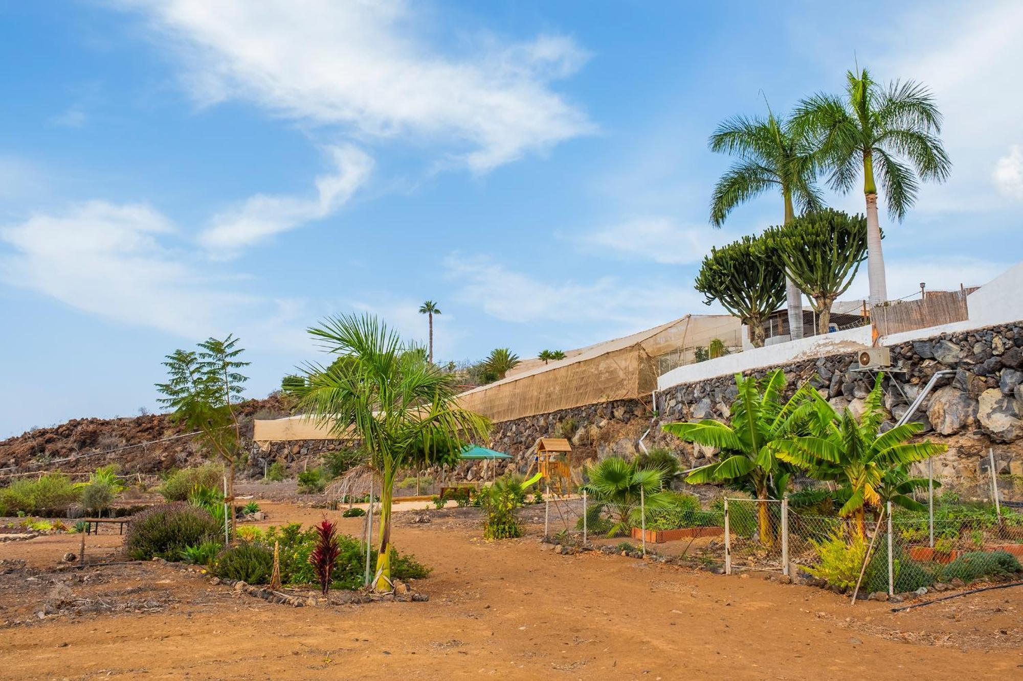 Tenerife Healing Garden Guía de Isora Buitenkant foto